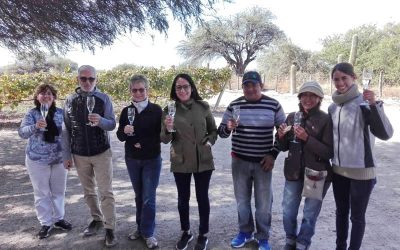 Burbujas de Altura • Get to know the Calchaquí Valley, discover Cafayate.