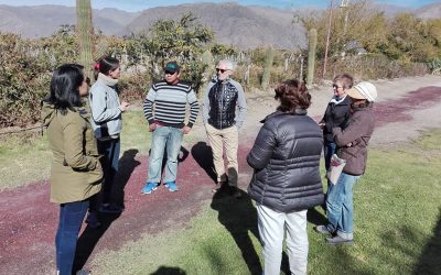 Burbujas de Altura • Get to know the Calchaquí Valley, discover Cafayate.