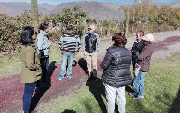 Burbujas de Altura • Conozca el Valle Calchaquí, descubra Cafayate.