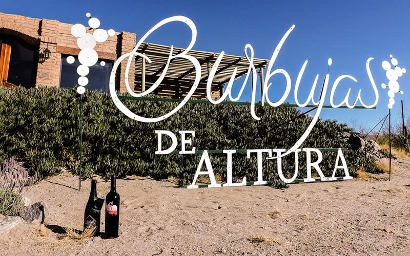 Bodega Burbujas de Altura • Vino Tinquiao